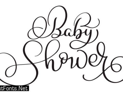 baby shower text on white background. Hand drawn Calligraphy lettering Vector illustration EPS10