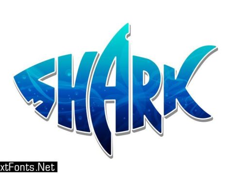 Colorful Shark Logo Design Vector 329110