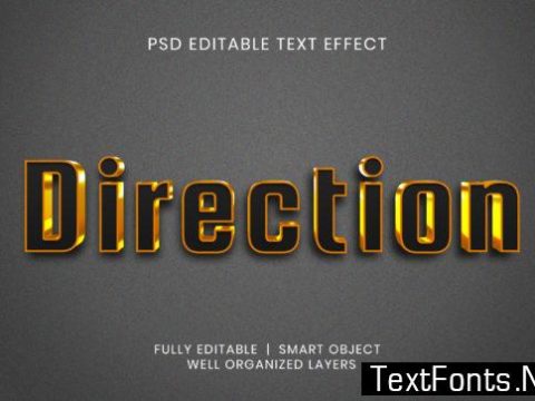 Direction Text Effect Style