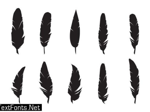 Feathers Silhouette Vector Set 144948