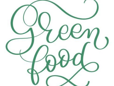 Green food text on white background. Hand drawn Calligraphy lettering Vector illustration EPS10