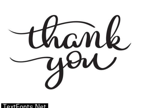 Hand drawn Vector Thank you text on white background. Calligraphy lettering illustration EPS10