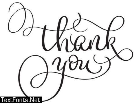 Hand drawn Vector Thank you text on white background. Calligraphy lettering illustration EPS10