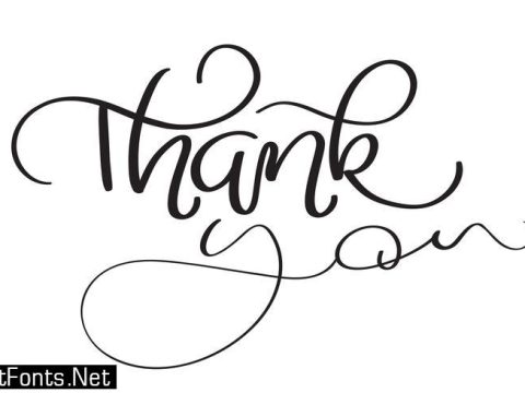 Hand drawn vintage Vector text Thank you on white background. Calligraphy lettering illustration EPS10