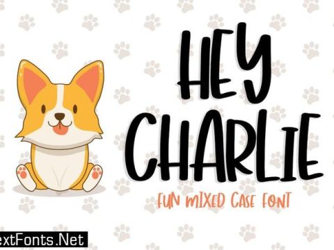 Hey Charlie - Fun Mixed Case Font