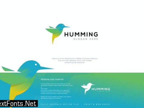 Humming Bird Logo