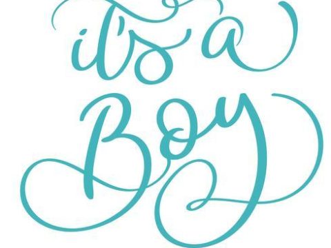 its a boy text on white background. Hand drawn Calligraphy lettering Vector illustration EPS10