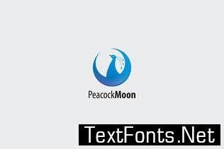 Peacock Moon Logo Template