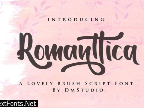 Romanttica - Modern Script Brush Font