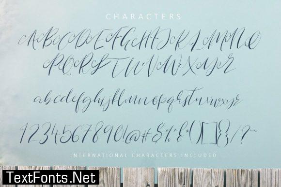 Rout Nine Script Font