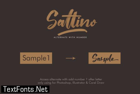 Saltino Script Font