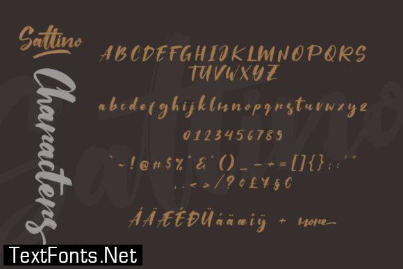 Saltino Script Font