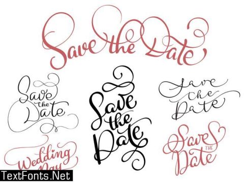 set of Save the date text on white background. Hand drawn Calligraphy lettering Vector illustration EPS10