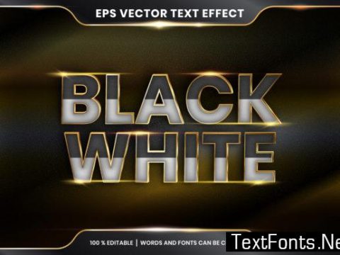 Text Effect in 3D Black White Words