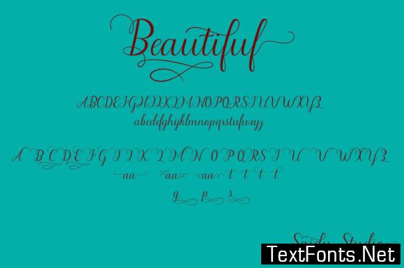 beautiful script typeface