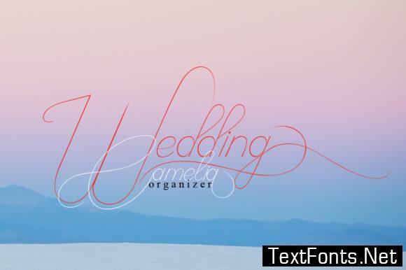 Camelia Script Font