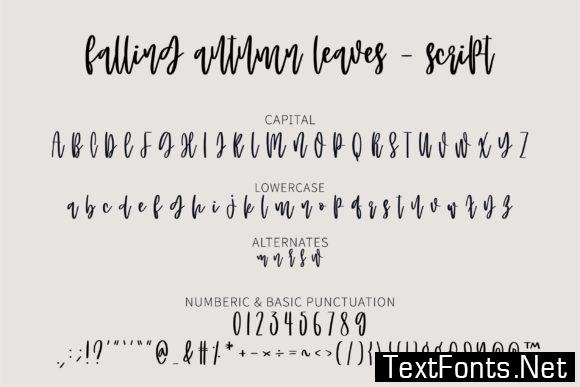 Falling Autumn Leaves Font