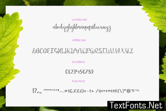 Sweet Leaves Font