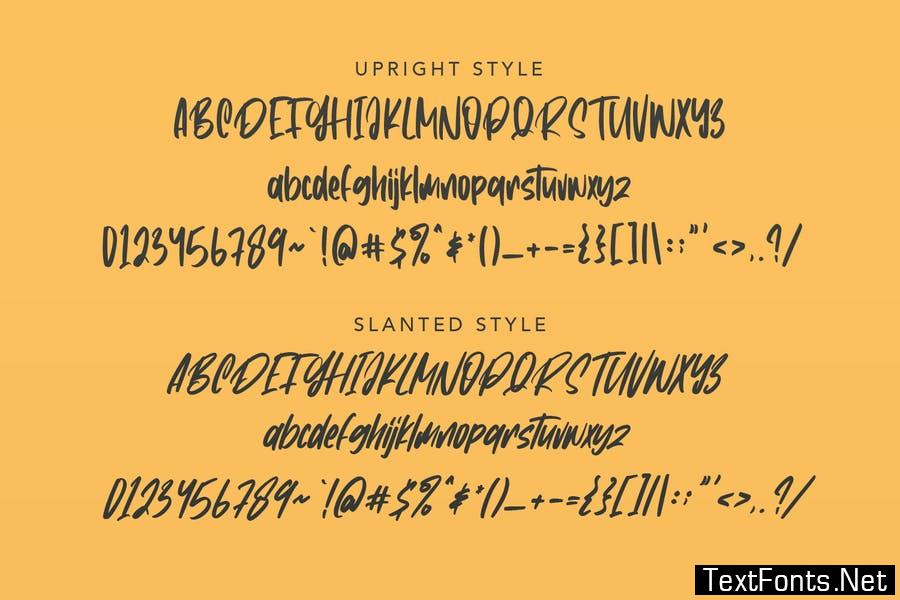 Constaniz Typeface Font