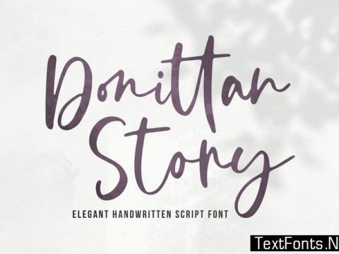 Donittan Story - Modern Signature Font