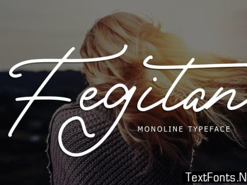 Fegitan Monoline Typeface