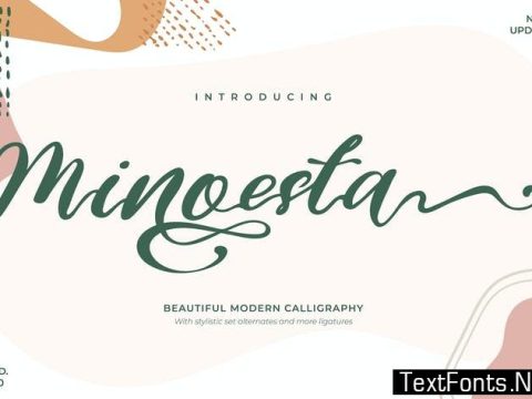 Minoesta | Beautiful Modern Calligraphy