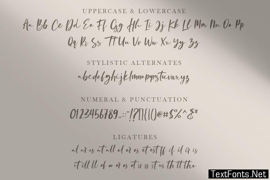 Oliver Blush Calligraphy Modern Wedding Font