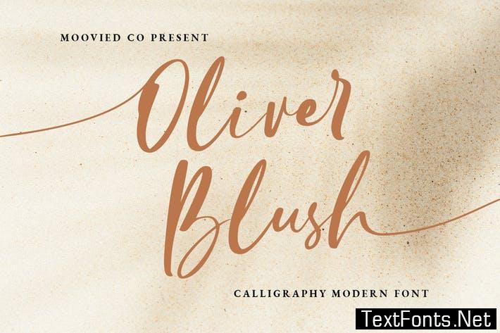 Oliver Blush Calligraphy Modern Wedding Font