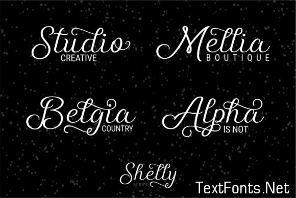 Shelly Script Font