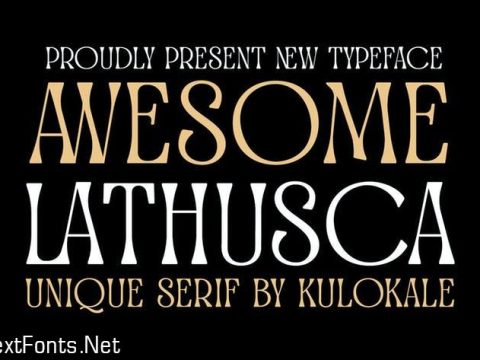 Awesome Lathusca Serif Font