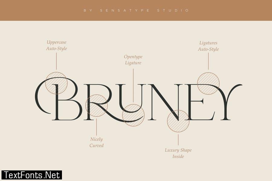 Bruney - Classy Ligature Font