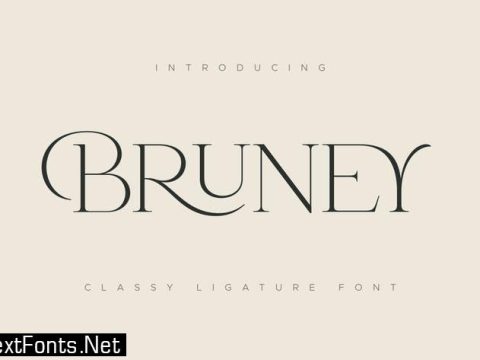 Bruney - Classy Ligature Font