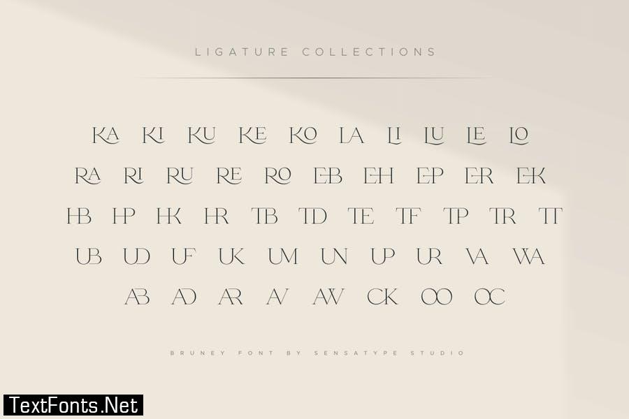 Bruney - Classy Ligature Font