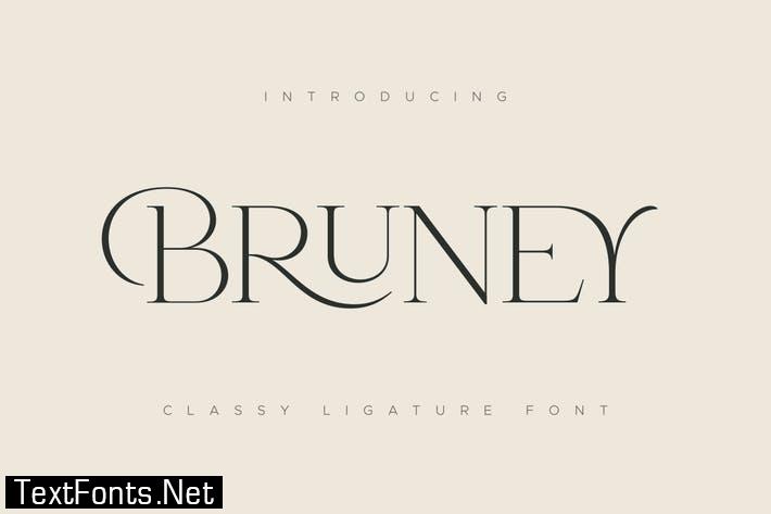 Bruney - Classy Ligature Font