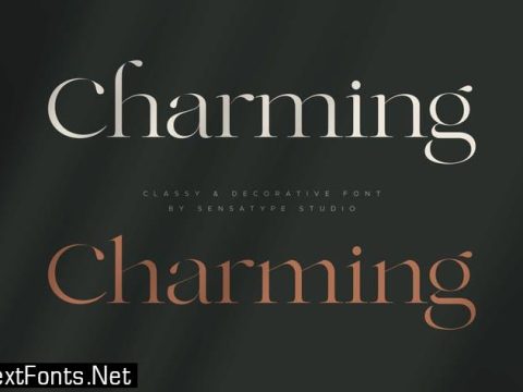 Charming - Classy & Decorative Font