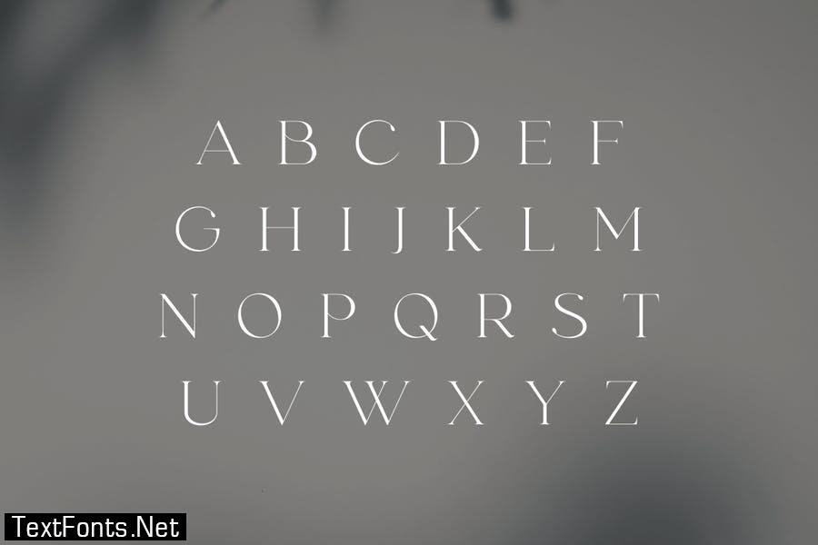 fonde - elegant chic font