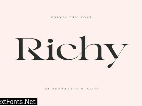 Giveaway - Classy Serif Font