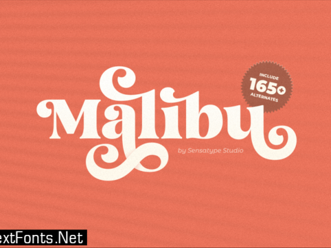 Malibu - Fancy Vintage Font