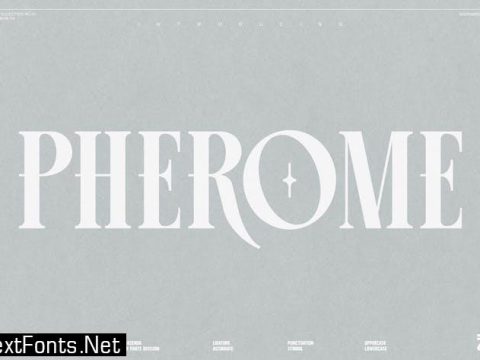 Pherome Display Font