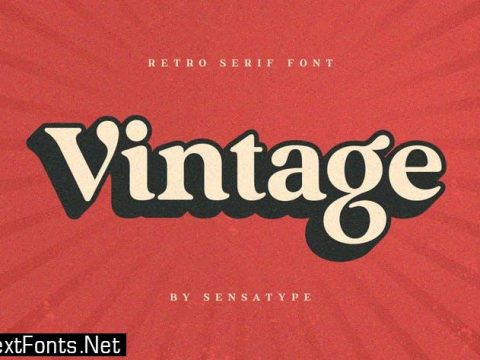 Vintage - Retro Serif Font