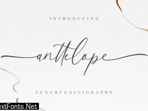 Anttelope Luxury Calligraphy