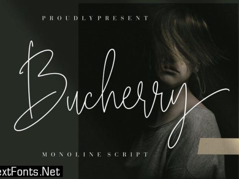 Bucherry Monoline Script