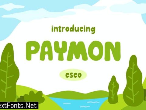 Paymon - Playful Display Font