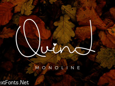 Quind Monoline Signature