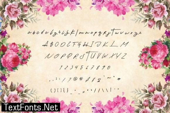 Signature Dishes Font