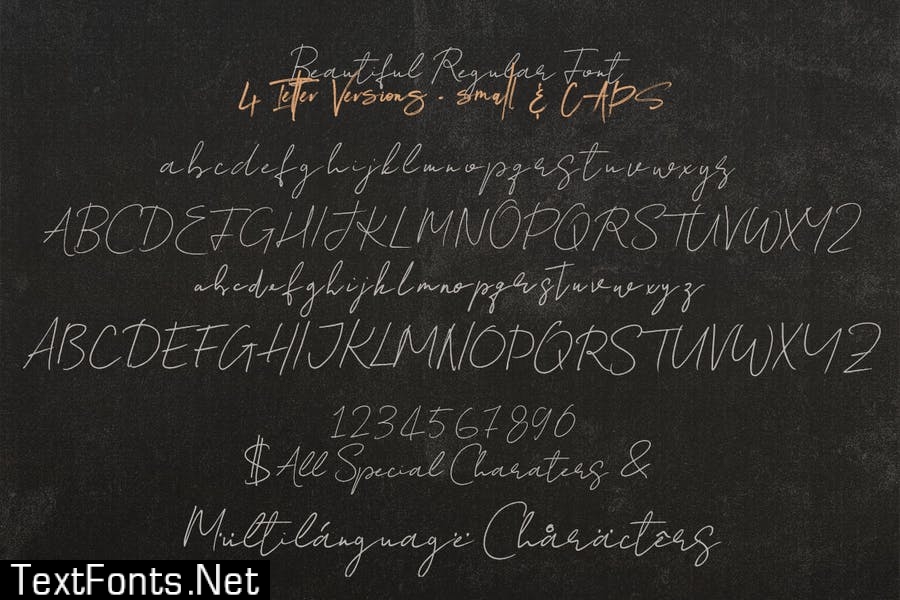 Beautiful SVG Script Font