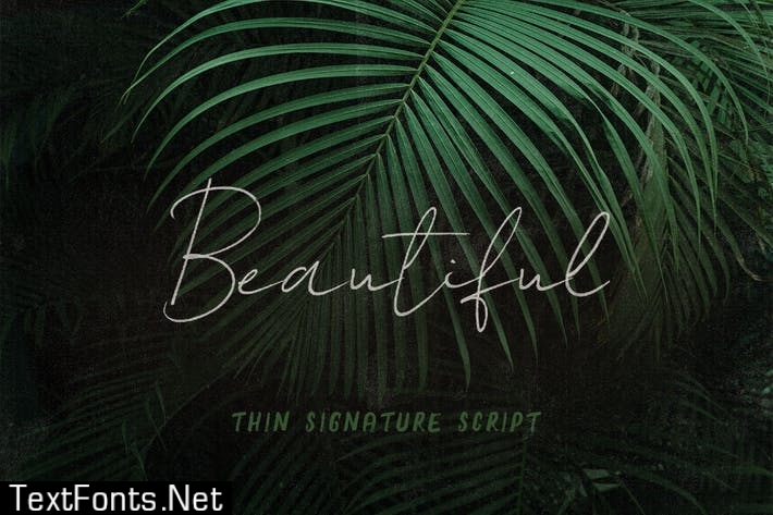 Beautiful SVG Script Font