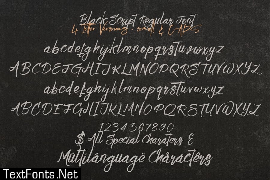 Black Script SVG Bold Brush Font