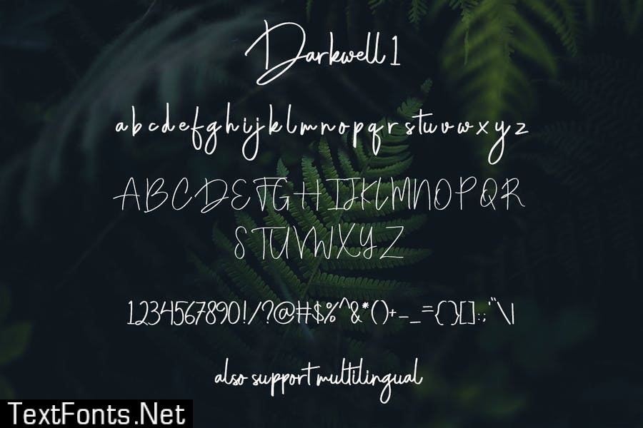 Darkwell Family Font