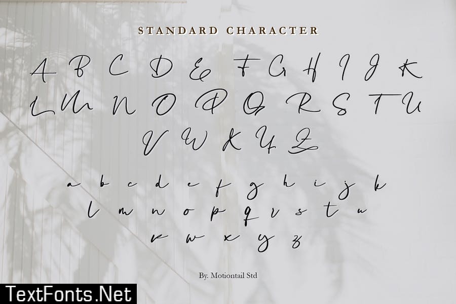 Katagami Signature - Handwritten Font